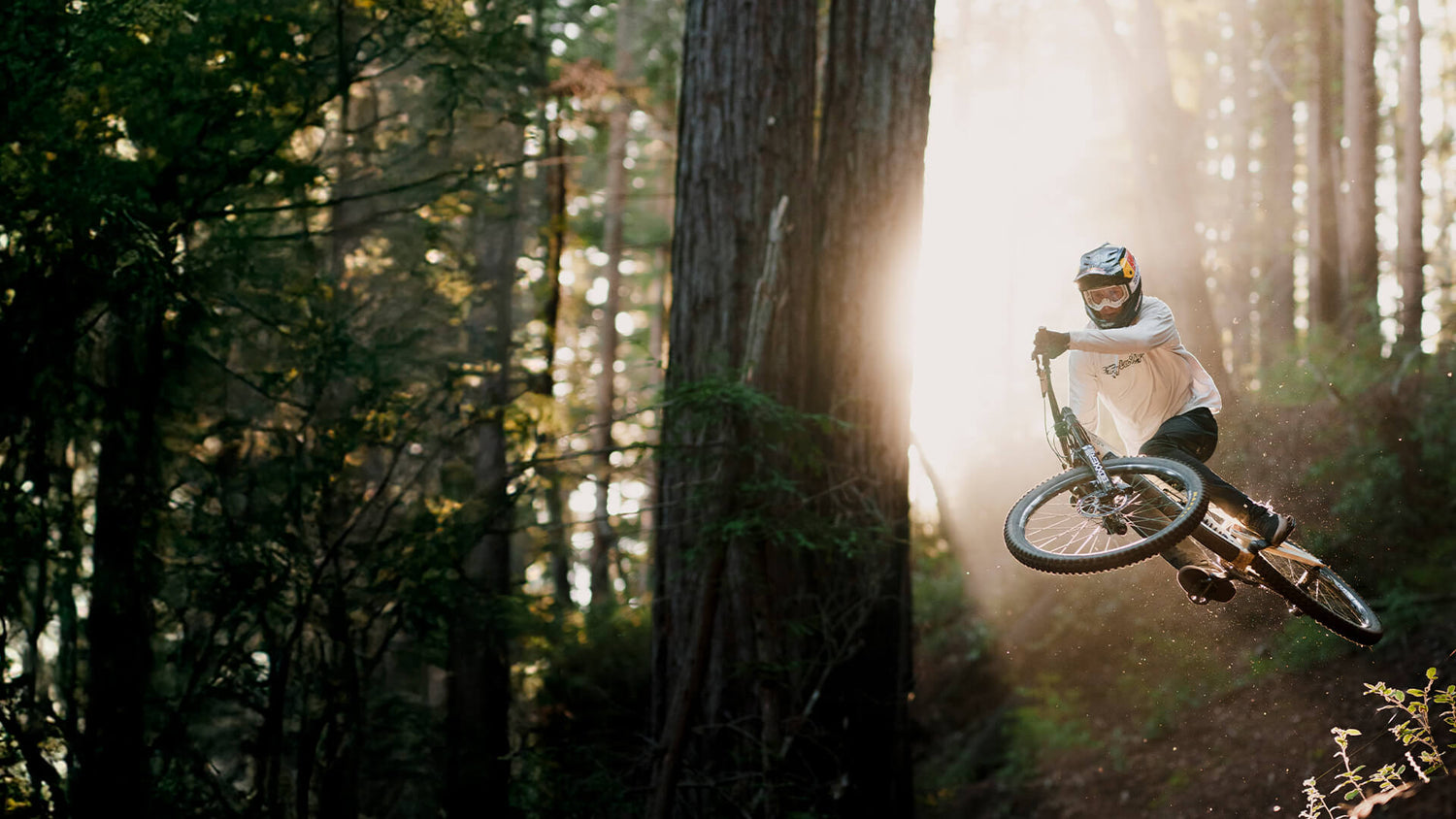 Ruckus Cargo Pants & Shorts