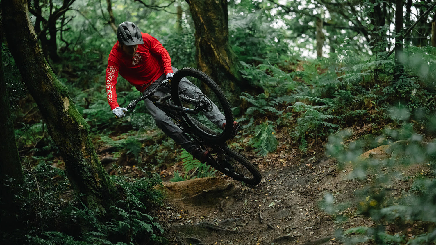 mountain bike rider, on a trail, going through trees